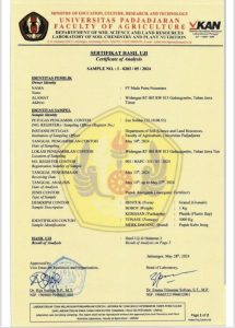 Read more about the article PT Mada Putra Nusantara